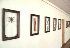 Dailinink�s, restaurator�s p. Teres�s Bla�i�nait�s darbas
